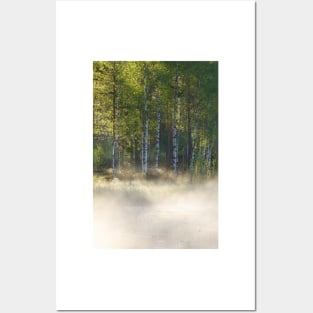 Small foggy forest pond at sunrise summer morning Posters and Art